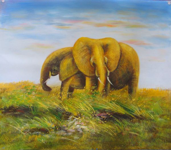 Elephants in Grassland