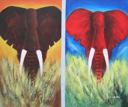 Elephants Wrong Coloured