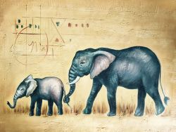 Graceful Elephants